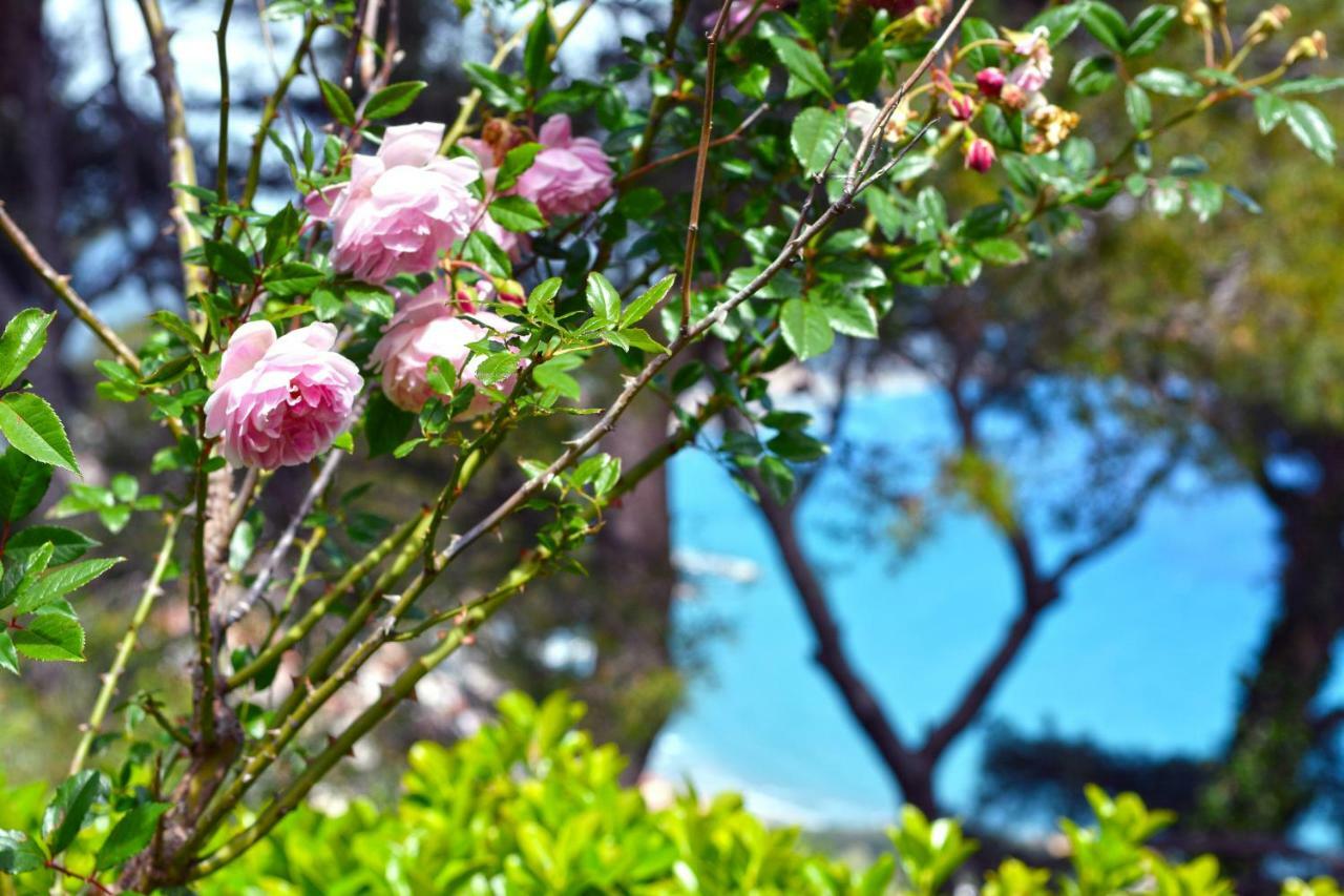 דיאנו מרינה Torre Alpicella Holiday Home, A Scenic Escape Into Nature And Relaxation מראה חיצוני תמונה